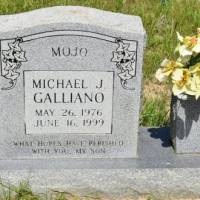 Michael J GALLIANO