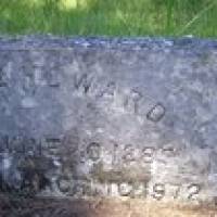 Will HOWARD